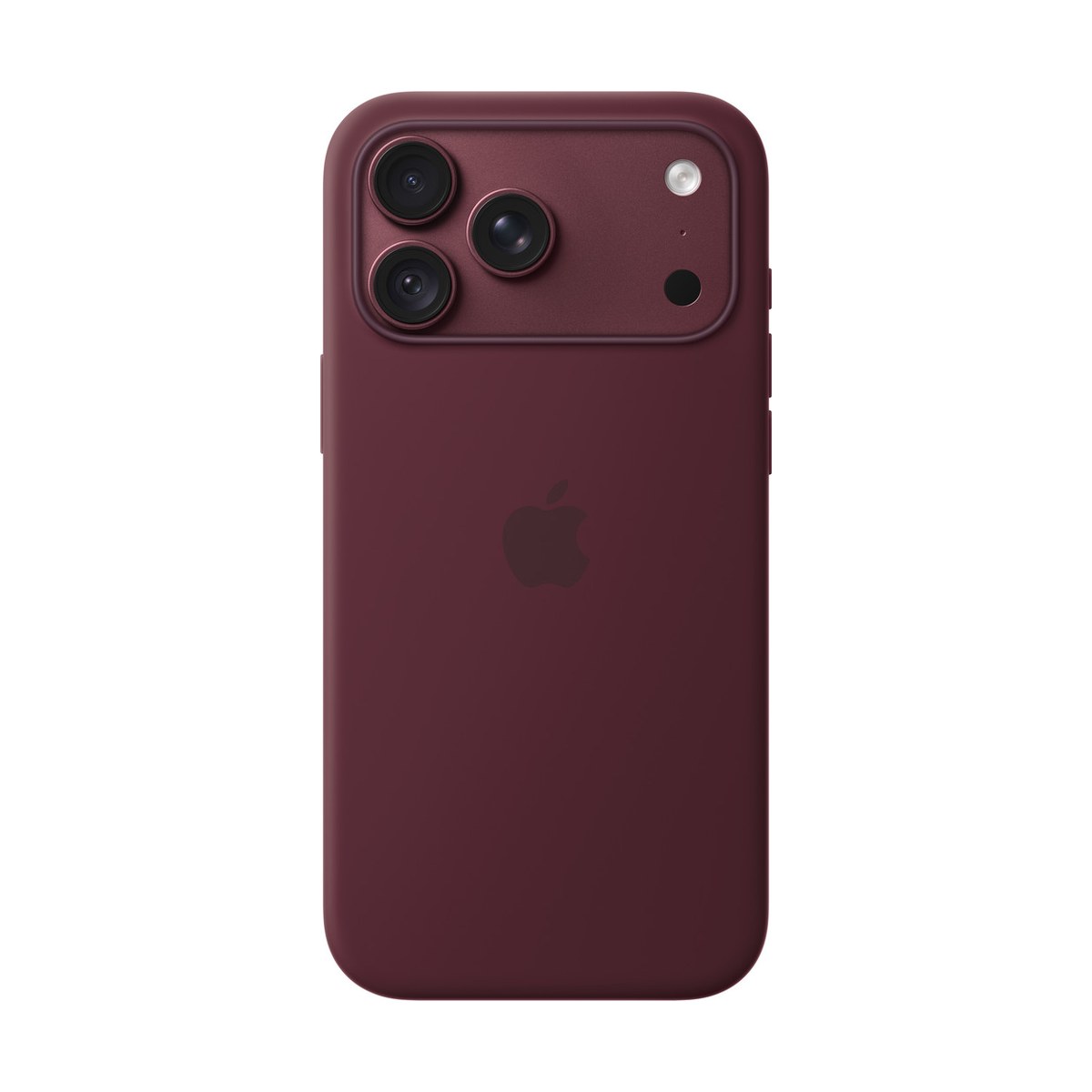 Silicon case